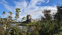 Dunguaire Castle &ndash; &copy; Sinah Witzig (Eberhardt TRAVEL)