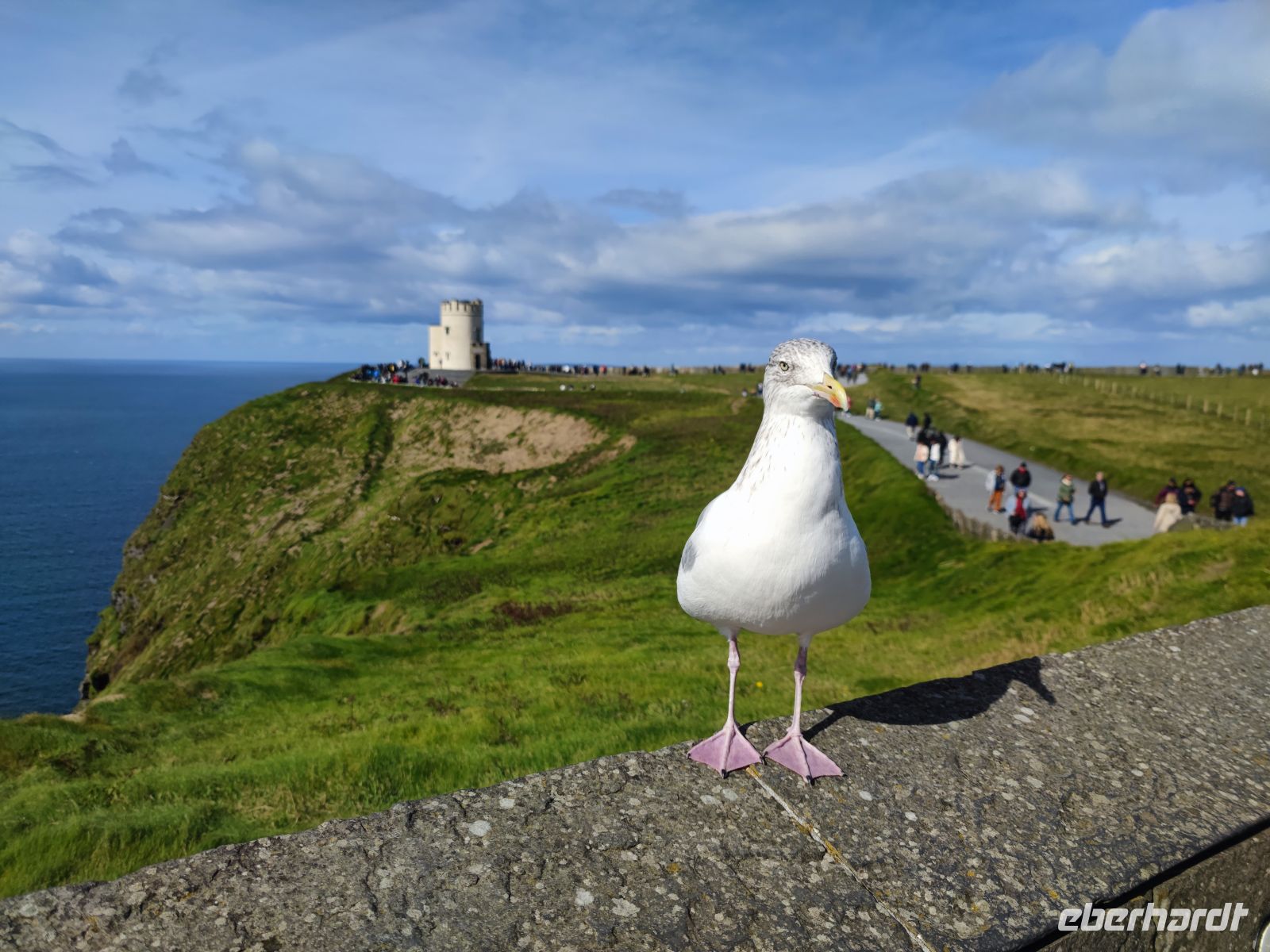 056-Cliffs of Moher &ndash; &copy; Dirk Schlosser (Eberhardt TRAVEL)