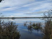 046-Coole-Park Turlough &ndash; &copy; Dirk Schlosser (Eberhardt TRAVEL)