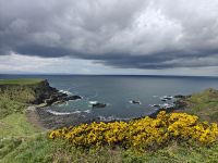 Giant's Causeway &ndash; &copy; Sinah Witzig (Eberhardt TRAVEL)