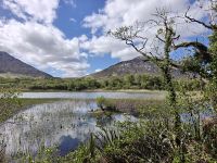Kylemore Abbey Gardens