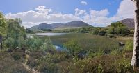 Kylemore Abbey Gardens
