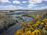 Connemara &ndash; &copy; Sinah Witzig (Eberhardt TRAVEL)
