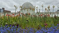 Belfast: Botanischer Garten &ndash; &copy; Sinah Witzig (Eberhardt TRAVEL)