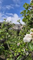 Glenveagh Castle &ndash; &copy; Sinah Witzig (Eberhardt TRAVEL)