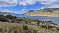 Killary Harbour &ndash; &copy; Sinah Witzig (Eberhardt TRAVEL)