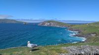 Slea Head Viewpoint