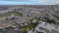Burren Nationalpark  &ndash; &copy; Natalie Hady (Eberhardt TRAVEL)