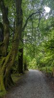 Spazierwege bei der Kylemore Abbey  &ndash; &copy; Natalie Hady (Eberhardt TRAVEL)