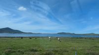 Slea Head Drive