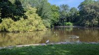 St. Stephen's Green &ndash; &copy; Natalie Hady (Eberhardt TRAVEL)