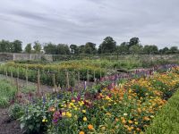 1. Tag: Ankunft in Dublin – Küchengarten im Phoenix Park &ndash; &copy; Andreas Wolfsteller (Eberhardt TRAVEL)