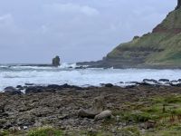 4. Tag: Ausflug nach Nordirland – Finns Stiefel am Giant's Causeway &ndash; &copy; Andreas Wolfsteller (Eberhardt TRAVEL)