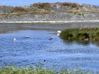 6. Tag: Ausflug auf die Aran Islands – Wandern auf Inishmore &ndash; &copy; Andreas Wolfsteller (Eberhardt TRAVEL)