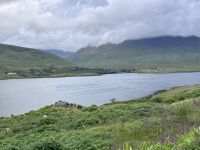 7. Tag: Connemara – Fotostopp am Killary Harbour &ndash; &copy; Andreas Wolfsteller (Eberhardt TRAVEL)