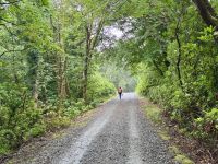 7. Tag: Connemara – Besuch der Kylemore Abbey &ndash; &copy; Andreas Wolfsteller (Eberhardt TRAVEL)