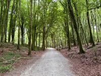 8. Tag: Leenaun bis Spanish Point – Wandern in Coole Park &ndash; &copy; Andreas Wolfsteller (Eberhardt TRAVEL)