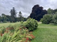 8. Tag: Leenaun bis Spanish Point – Wandern in Coole Park – Autograph Tree &ndash; &copy; Andreas Wolfsteller (Eberhardt TRAVEL)