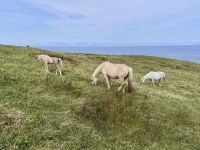 9. Tag: Spanish Point bis Tralee – Klippenwanderung nach Doolin &ndash; &copy; Andreas Wolfsteller (Eberhardt TRAVEL)
