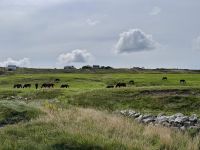 9. Tag: Spanish Point bis Tralee – Klippenwanderung nach Doolin &ndash; &copy; Andreas Wolfsteller (Eberhardt TRAVEL)