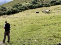 10. Tag: Ring of Kerry – Besuch beim Schäfer Tom &ndash; &copy; Andreas Wolfsteller (Eberhardt TRAVEL)