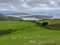 10. Tag: Ring of Kerry – Zusatzwanderung zum Derrynane Beach &ndash; &copy; Andreas Wolfsteller (Eberhardt TRAVEL)
