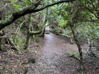 10. Tag: Ring of Kerry – Zusatzwanderung zum Derrynane Beach &ndash; &copy; Andreas Wolfsteller (Eberhardt TRAVEL)