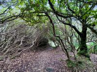 10. Tag: Ring of Kerry – Zusatzwanderung zum Derrynane Beach &ndash; &copy; Andreas Wolfsteller (Eberhardt TRAVEL)