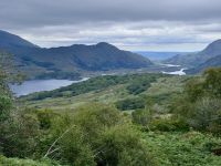 10. Tag: Ring of Kerry – Fotostopp am Ladies' View im Killarney-Nationalpark &ndash; &copy; Andreas Wolfsteller (Eberhardt TRAVEL)