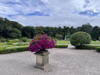 10. Tag: Ring of Kerry – Muckross House und Park
