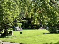 11. Tag: Tralee bis Newtownmountkennedy – Besuch auf dem Irischen Nationalgestüt – Japanischer Garten &ndash; &copy; Andreas Wolfsteller (Eberhardt TRAVEL)