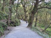 12. Tag: Wicklow Mountains – Wanderung in Glendalough &ndash; &copy; Andreas Wolfsteller (Eberhardt TRAVEL)