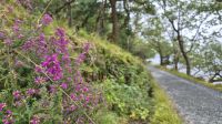 Glenveagh Nationalpark &ndash; &copy; Sinah Witzig (Eberhardt TRAVEL)