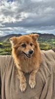 Ring of Kerry &ndash; &copy; Sinah Witzig (Eberhardt TRAVEL)