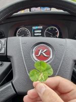 Ring of Kerry &ndash; &copy; Sinah Witzig (Eberhardt TRAVEL)