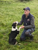 Atlantic Sheep Dogs &ndash; &copy; Sinah Witzig (Eberhardt TRAVEL)