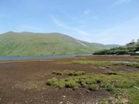 Connemara &ndash; &copy; Petra Sauer (Eberhardt TRAVEL)