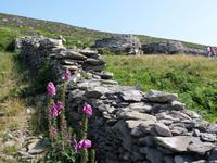 Dingle &ndash; &copy; Petra Sauer (Eberhardt TRAVEL)