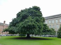 Dublin &ndash; &copy; Ralf Kuchenbecker (Eberhardt TRAVEL)