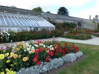 Powerscourt Garden