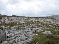 Burren Way &ndash; &copy; Ralf Kuchenbecker (Eberhardt TRAVEL)