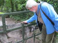ganz nah dran &ndash; &copy; Bernhard Rink (Eberhardt TRAVEL)