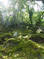 Glenveagh NP &ndash; &copy; Ralf Kuchenbecker (Eberhardt TRAVEL)