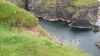 Giants Causeway