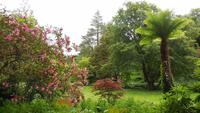 Glenveagh &ndash; &copy; Petra Sauer (Eberhardt TRAVEL)