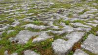 Burren &ndash; &copy; Petra Sauer (Eberhardt TRAVEL)