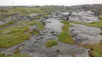 Burren &ndash; &copy; Petra Sauer (Eberhardt TRAVEL)