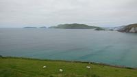 Dingle-Rundfahrt &ndash; &copy; Petra Sauer (Eberhardt TRAVEL)