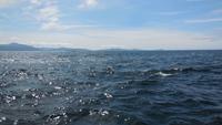 Bootsfahrt Dingle &ndash; &copy; Petra Sauer (Eberhardt TRAVEL)