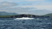 Bootsfahrt Dingle &ndash; &copy; Petra Sauer (Eberhardt TRAVEL)